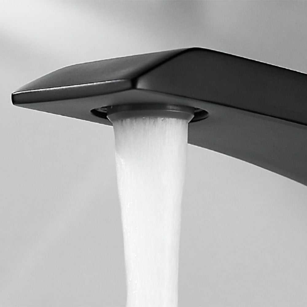 Robinet de salle de bain Mitigeur lavabo Luxe Moderne peintre Noir avec Flexible