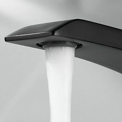 Robinet de salle de bain Mitigeur lavabo Luxe Moderne peintre Noir avec Flexible